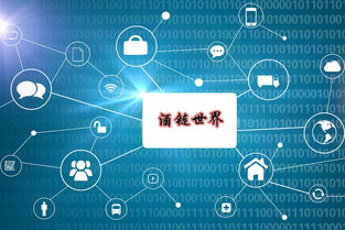 深圳区块链技术赋能酒业 酒链世界系统定制开发与技术咨询指南