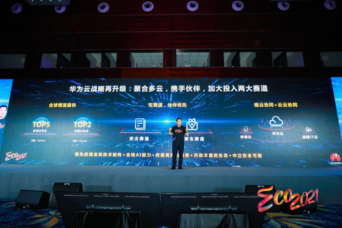 华为云升级伙伴关系 重注技术与咨询，共建数字新生态